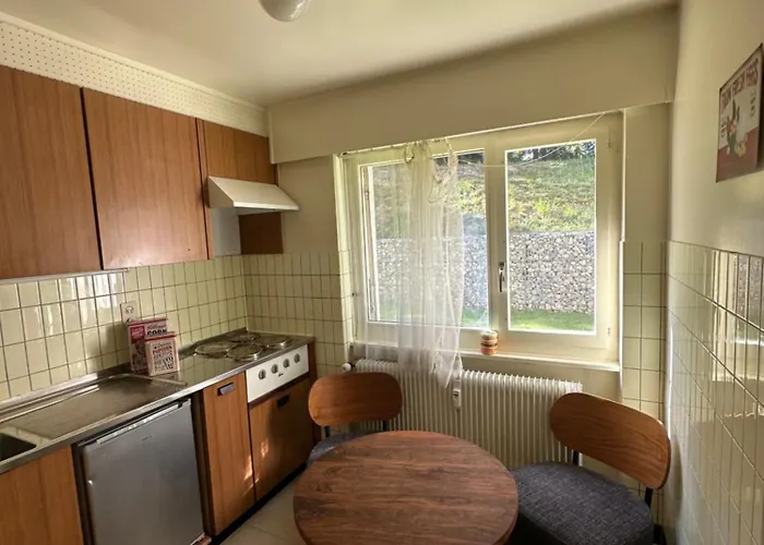 Apartment Cozy At A Special Price! Crans-Montana